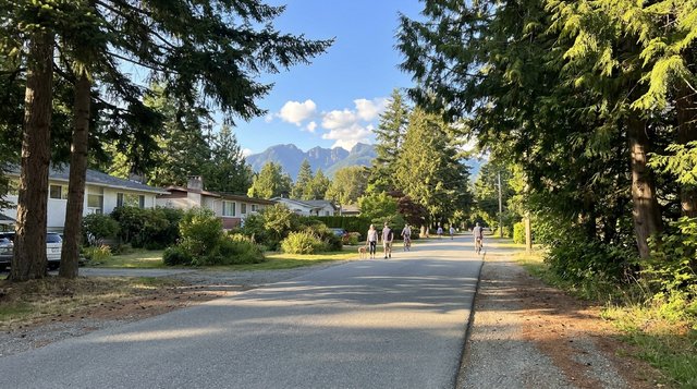 Candid summer streetscape in Brookswood-Fernridge, Langley Township, BC — large-lot rural-suburban road with mature Douglas fir and cedar canopy and Golden Ears mountains in the distance, photographed for AG. Song REALTOR®