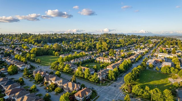 Aerial view of Crescent Beach, Surrey, BC — summer oblique drone photograph showing suburb meeting Boundary Bay parkland, for AG. Song REALTOR®
